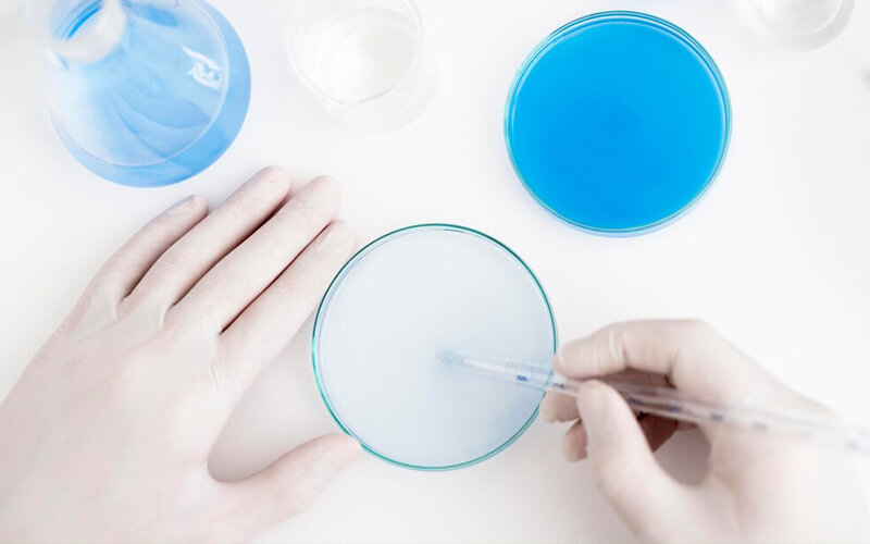 Paraformaldehyde application 3